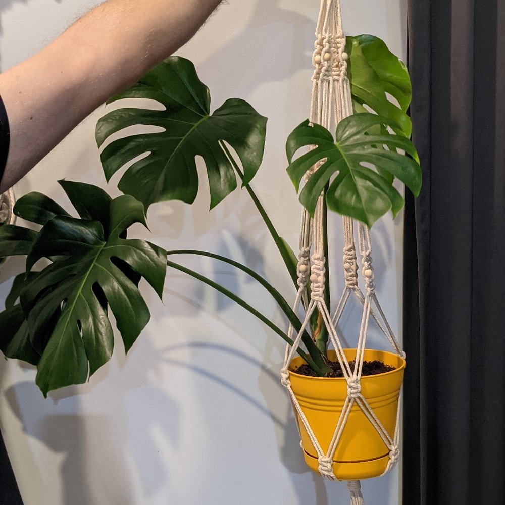 Macrame Plant Hanger